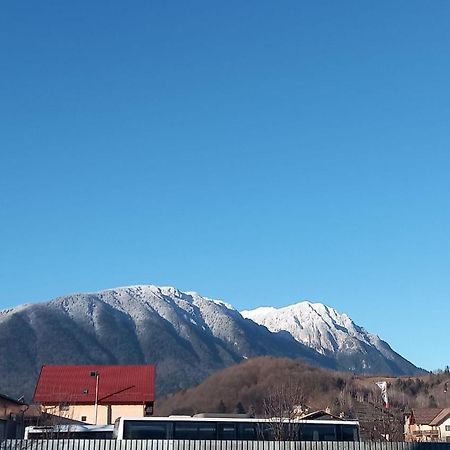 Piatra Craiului Residence Zărneşti Zewnętrze zdjęcie