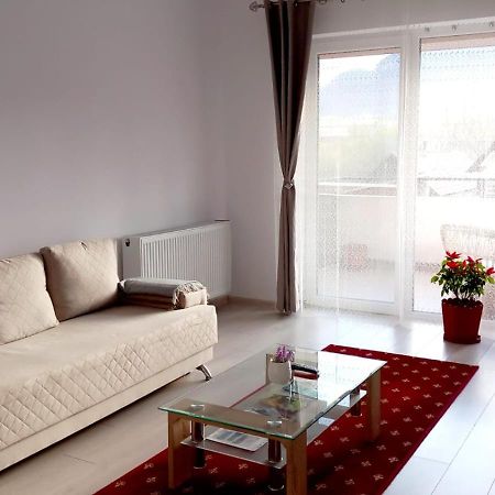 Piatra Craiului Residence Zărneşti Zewnętrze zdjęcie